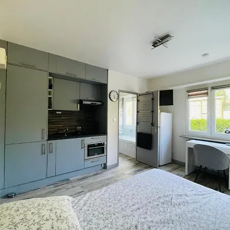 Dnn - Stylish Studio - Free Wifi, Netflix And Parking - Min Away To Basel And Airport - Dishwasher, Washing Machine Saint-Louis  Buitenkant foto