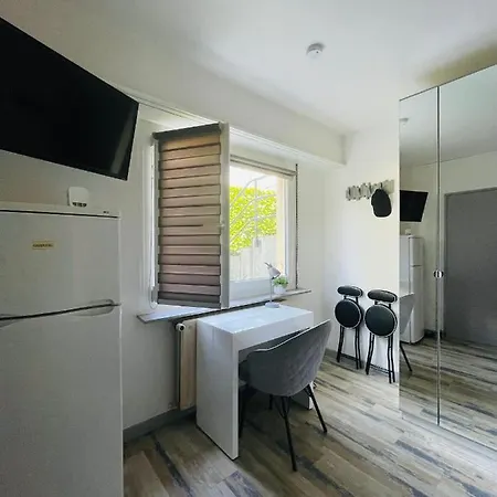 Dnn - Stylish Studio - Free Wifi, Netflix And Parking - Min Away To Basel And Airport - Dishwasher, Washing Machine Saint-Louis  Buitenkant foto